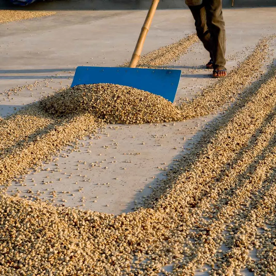 2. Naturally Sun Dried for Rich Flavor